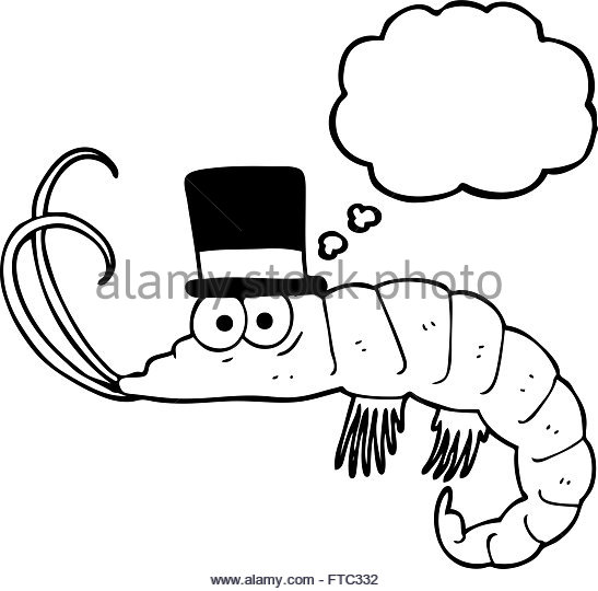 547x540 Funny Shrimp Cartoon Black And White Stock Photos Amp Images