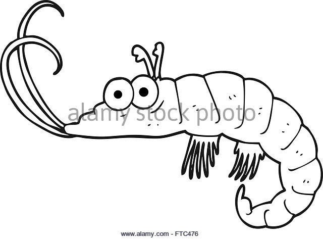 640x473 Shrimp Cartoon Black And White Stock Photos Amp Images