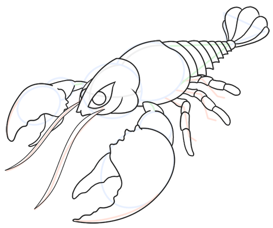 540x450 Cartoon Lobster Step By Step Drawing Lesson