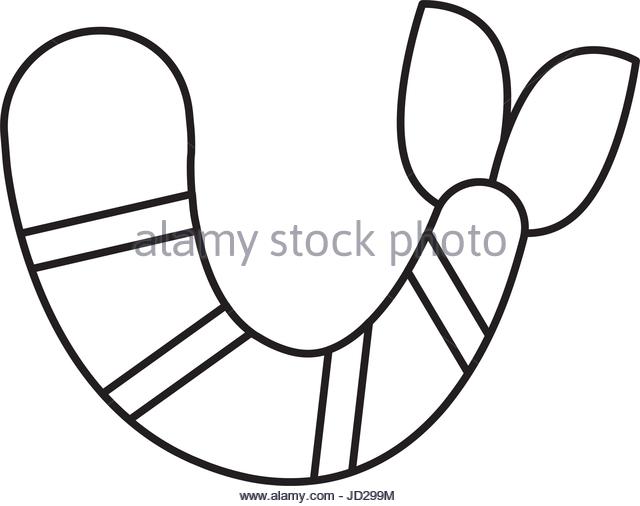 640x506 Shrimp Stock Vector Images