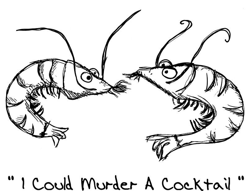 800x618 Cartoon Prawns Shrimp Doodle Stickers By Lecturenotes Redbubble