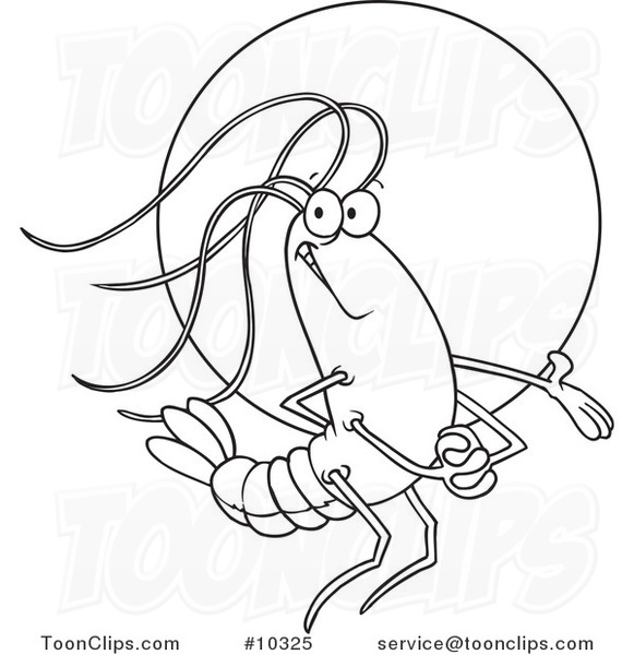 581x600 Cartoon Black And White Line Drawing Of A Proud Shrimp In