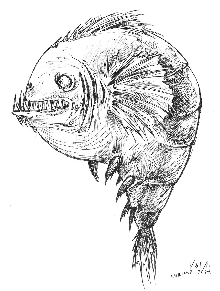 900x1188 Ugly Shrimp By Paper Jellyfish
