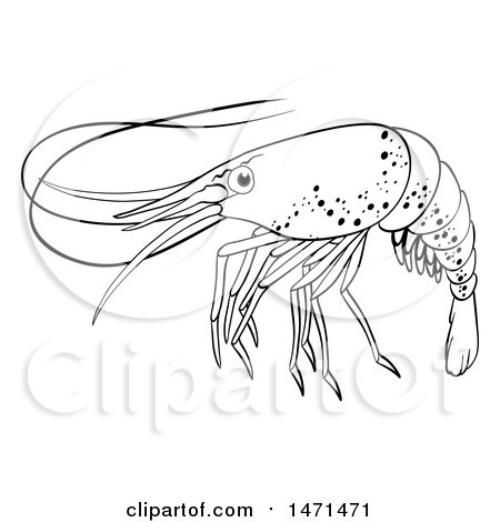 450x470 Clipart Of A Red Shrimp Facing Left