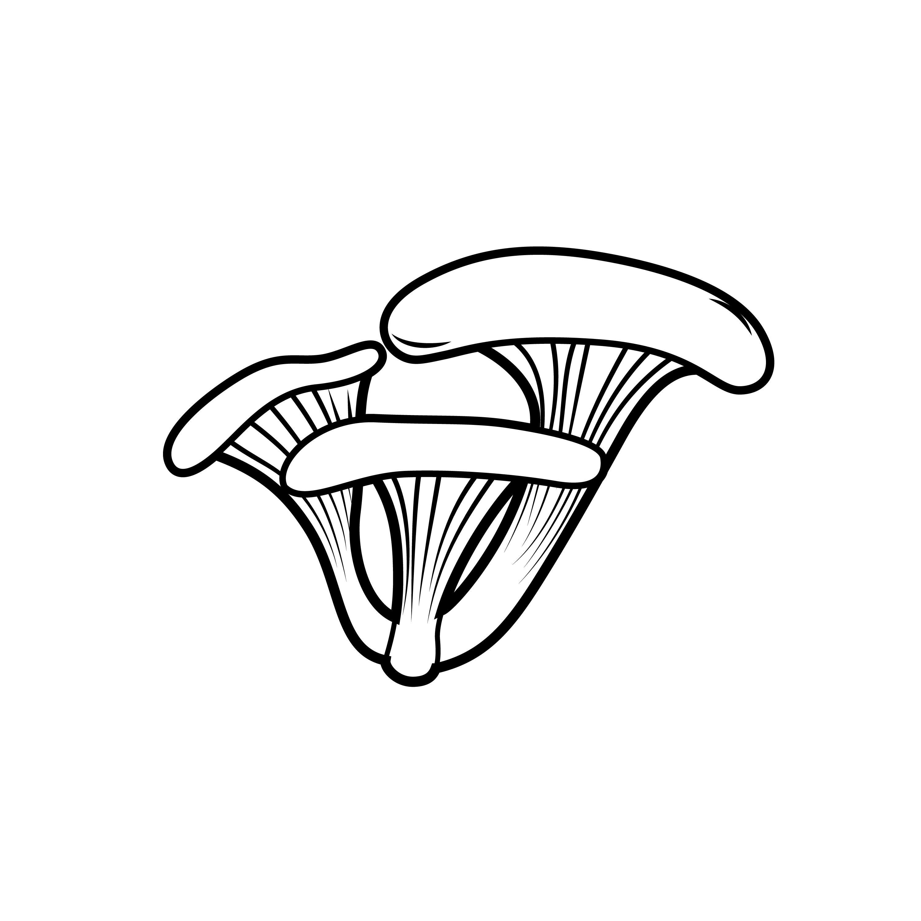 3000x3000 Kitchen Pride Mushroom Farms