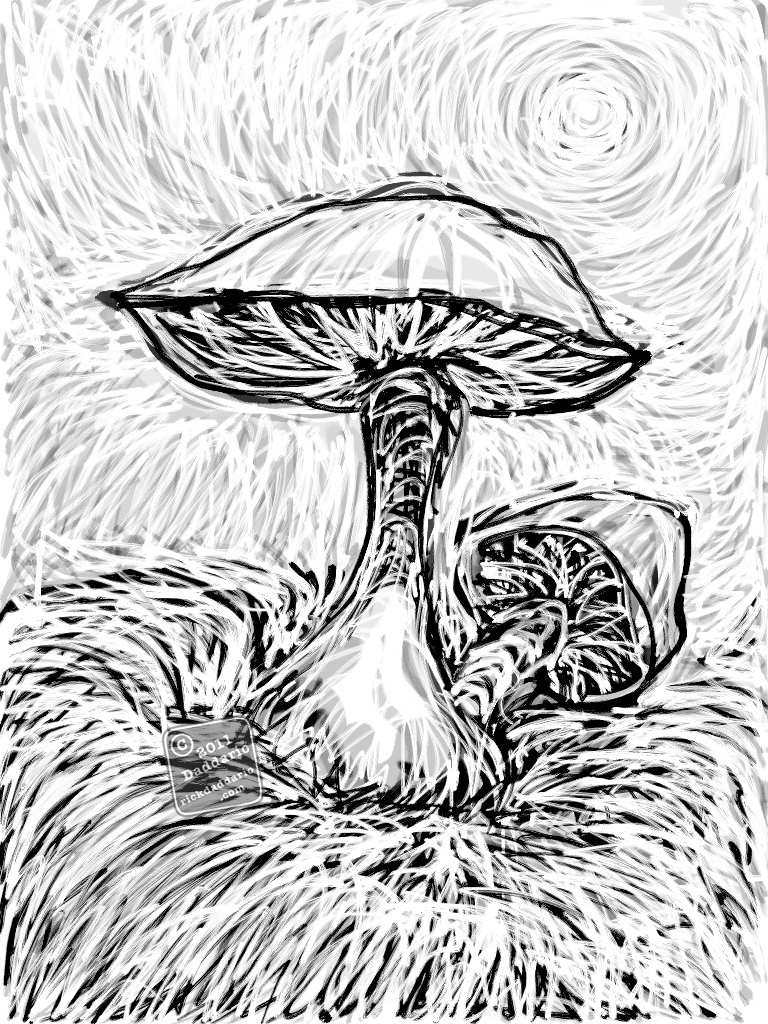 768x1024 Mushroom Harvest Red Dragonfly