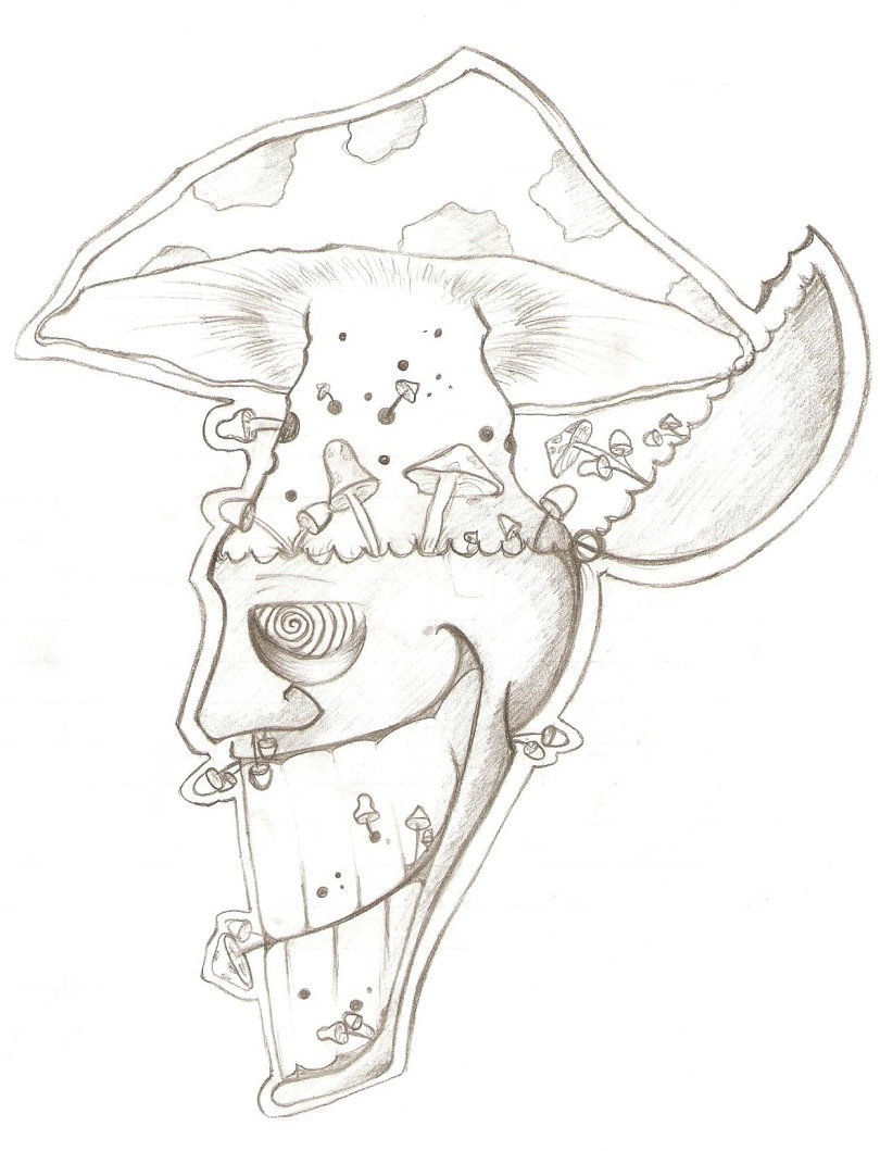 810x1059 Shroom Head By Tyjah