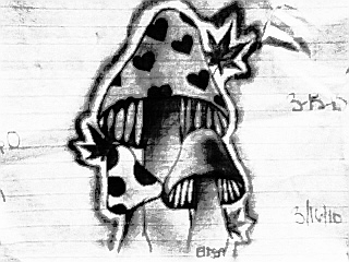 320x240 Shrooms And Weed By Tokinchokin