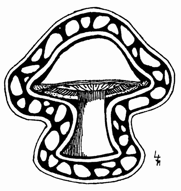 577x610 Trip Shroom 1 By Mrbobafett