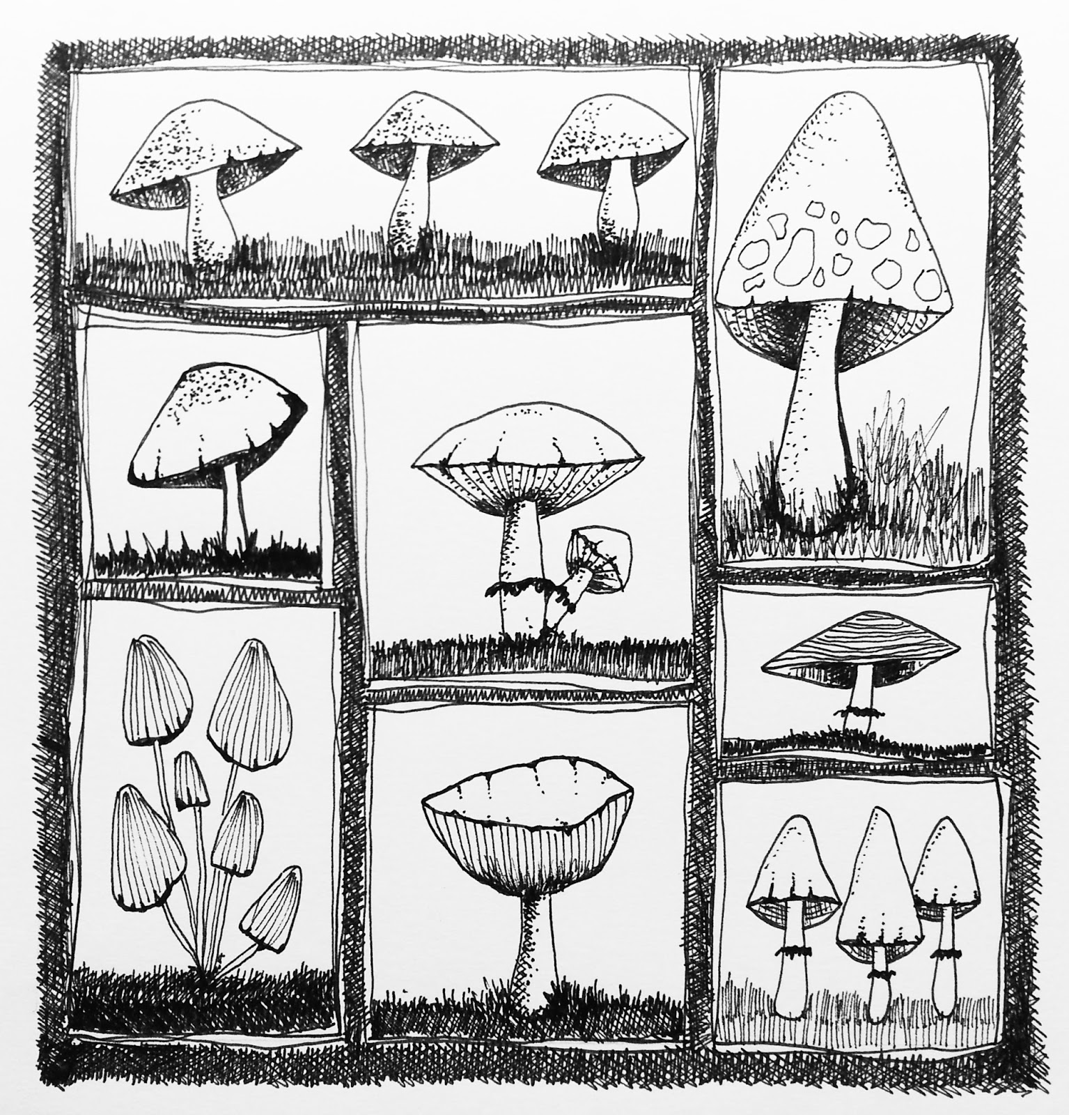 1535x1600 The Rare Pear Studio Blog How To Draw A Mushroom Because I