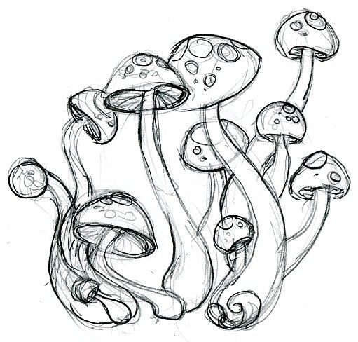 511x488 Trippy Mushroom Drawing