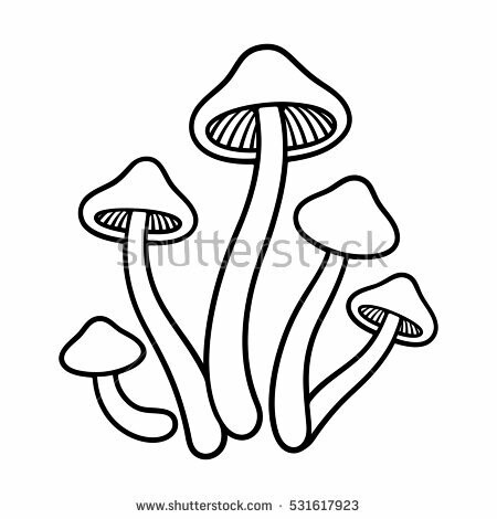 450x470 Pin By Lj Iii On Shrooms