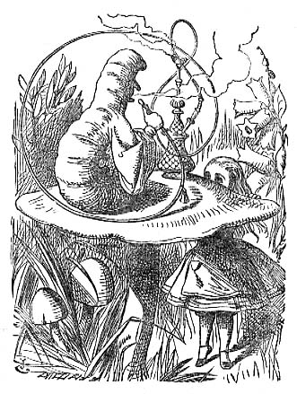 331x439 Mushroom Pics And Links