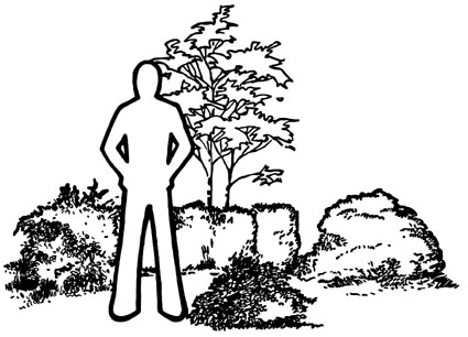 425x306 Drawing Of A Person Standing Next So A Variety Of Small Shrubs