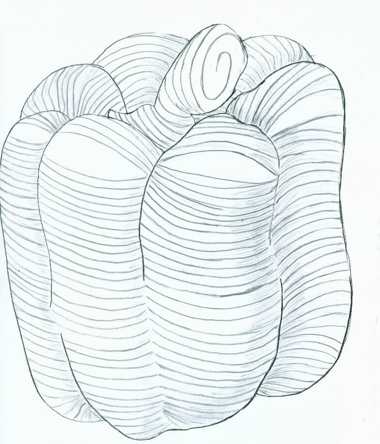 784x916 Simple Contour Line Drawings