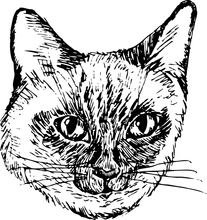 659x700 Siamese Cat Face (Sketch Style) Dog, Cat Amp Fur Baby Stamps