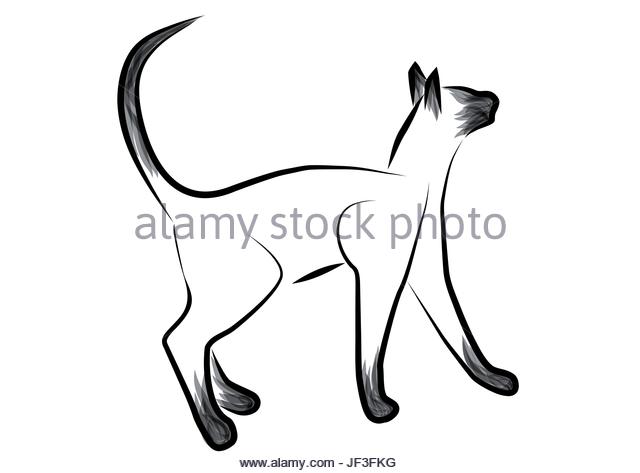 640x473 Siamese Cat Stock Vector Images