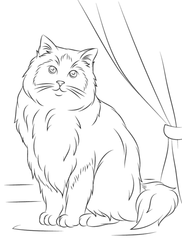 358x480 Ragdoll Cat Coloring Page Free Printable Coloring Pages