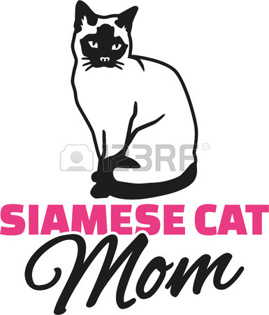 385x450 Siamese Cat Mother Royalty Free Cliparts, Vectors, And Stock