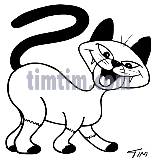 545x553 Free Drawing Of Cat Siamese Bw From The Category Pets