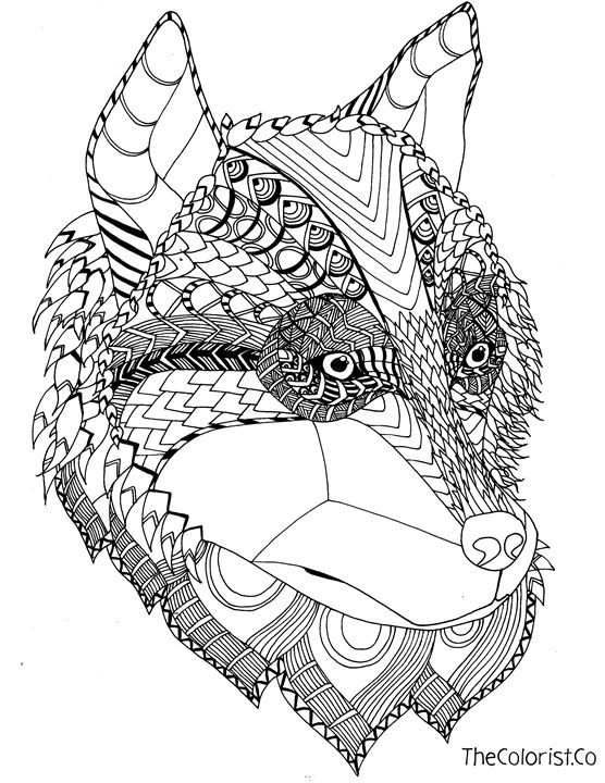 556x720 Husky Line Drawing