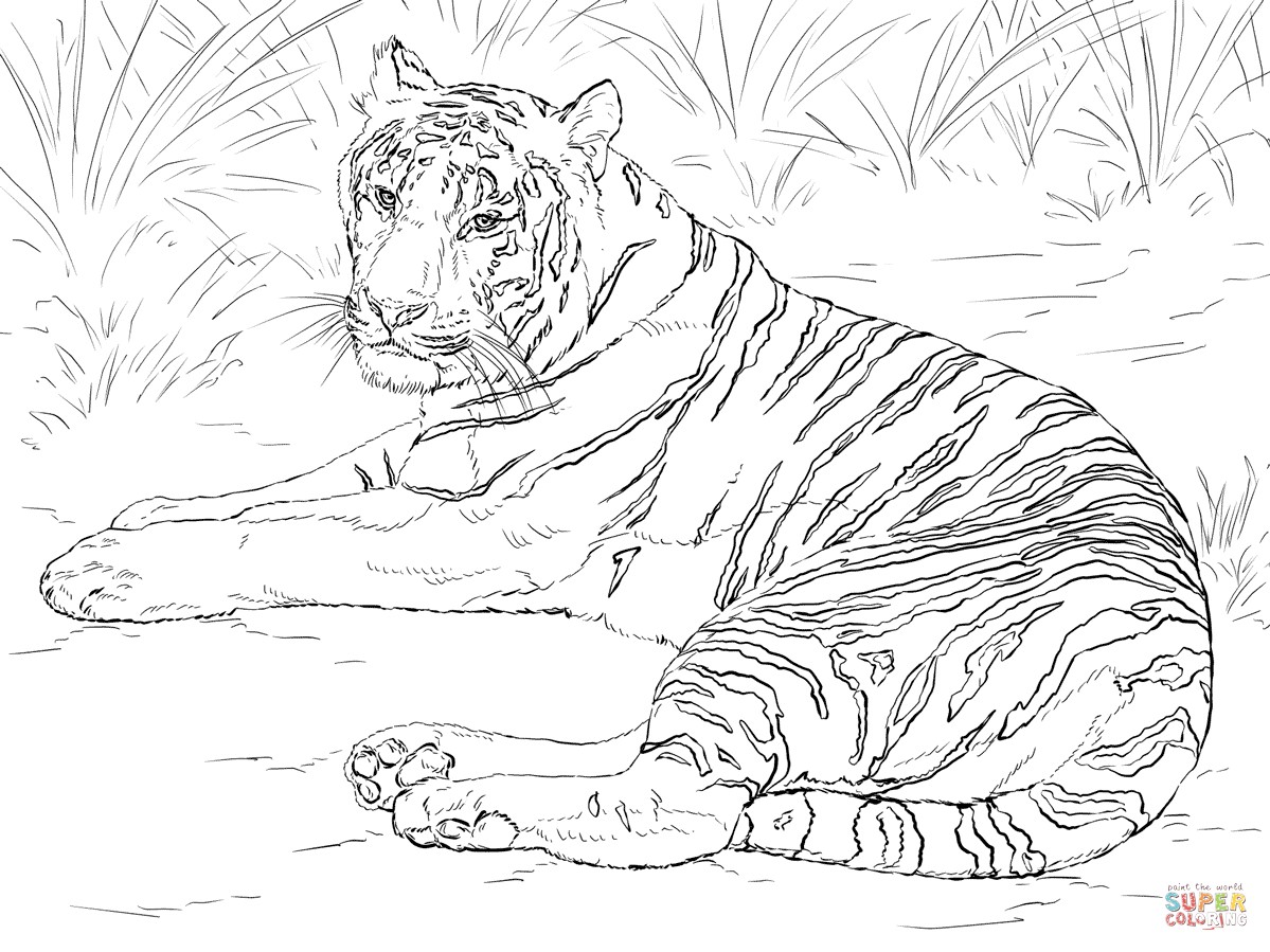1199x899 Coloring Pages Printable Tiger Fresh Siberian Tiger Laying Down