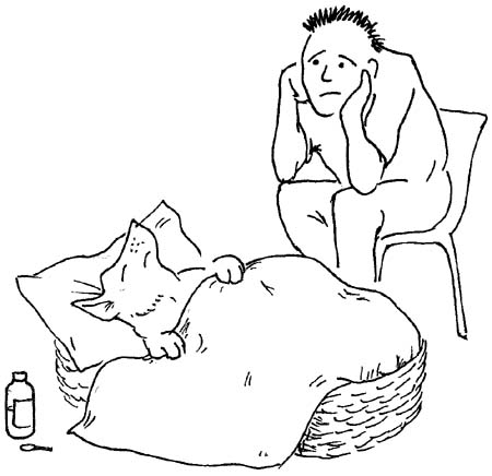 450x436 Sick As A Dog