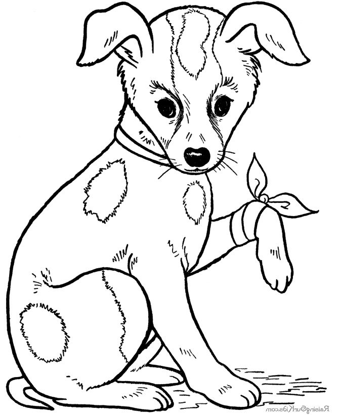 670x820 Dog Sick Coloring Page Dog