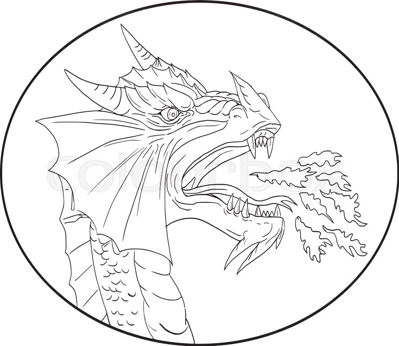800x693 Drawing Sketch Style Illustration Of A Dragon Breathing Fire