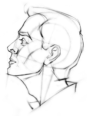 300x400 How To Draw The Head