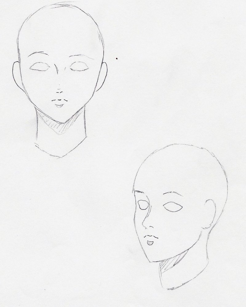 800x999 Face Template Front Side View By Katsuya Urusaki