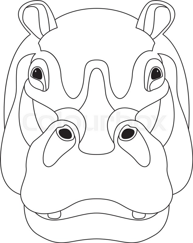 635x800 Hippo Face Vector Illustration Front Side Line Drawing Stock