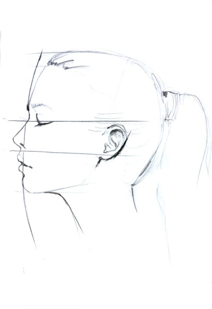 Side Of Face Drawing at GetDrawings | Free download