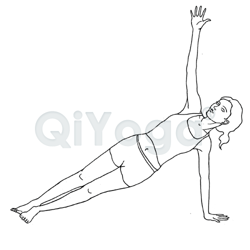 500x500 Plank