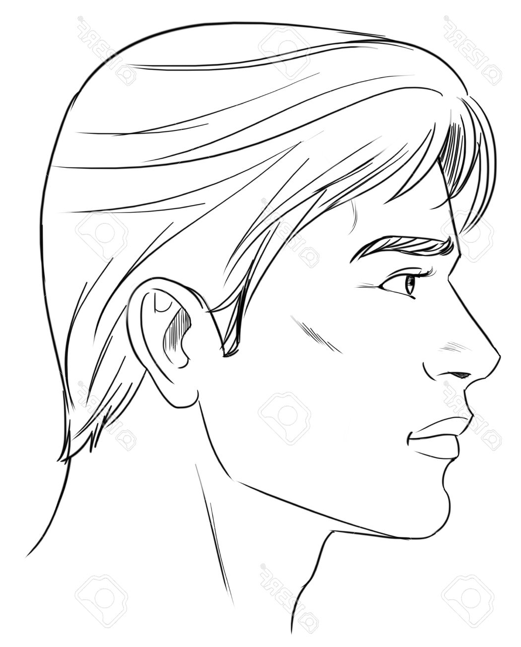 1046x1300 Drawing Face Profile Outline Outline Side Profile Of A Human Male