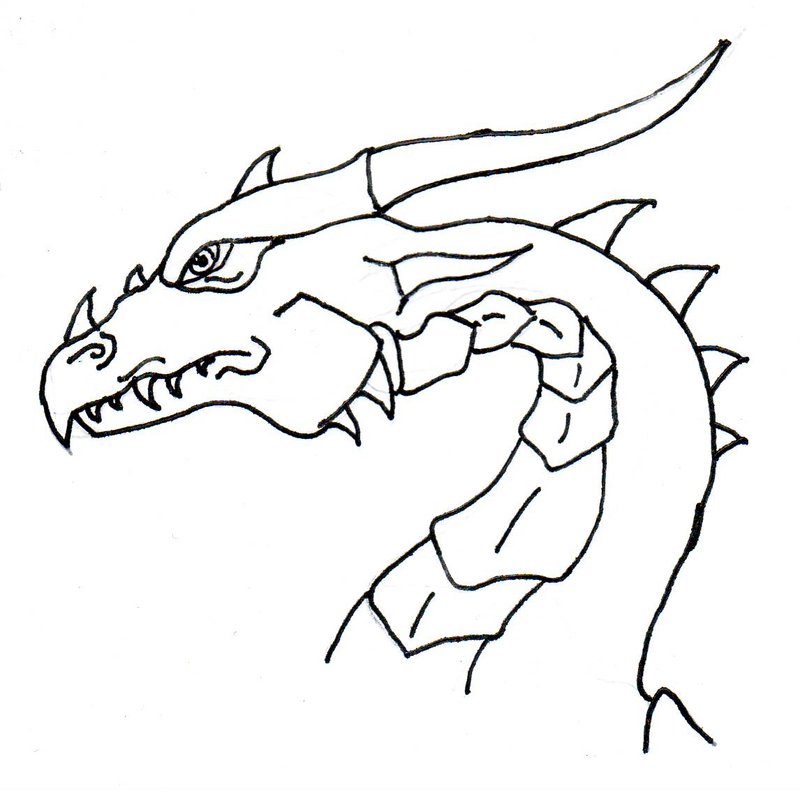 800x792 Dragon Side Profile By Claymaster406