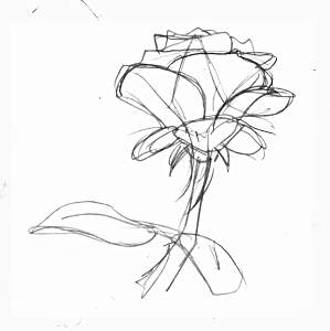 299x300 Trse How To Draw Tutorials Drawing Roses