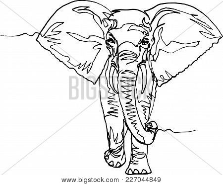 450x372 Front View Elephant Images, Illustrations, Vectors