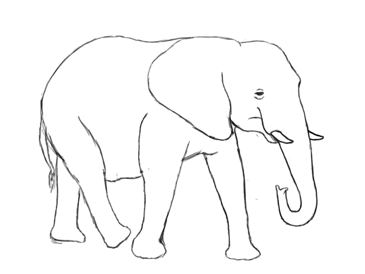 Side View Of Elephant Drawing at GetDrawings | Free download