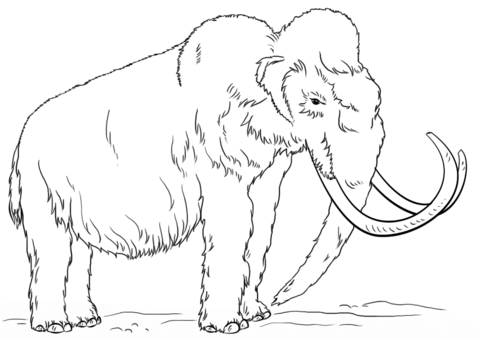 480x340 Woolly Mammoth Side View Coloring Page