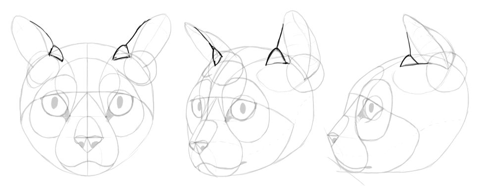 1000x390 How To Draw Cats Step By Step With Monika Zagrobelna