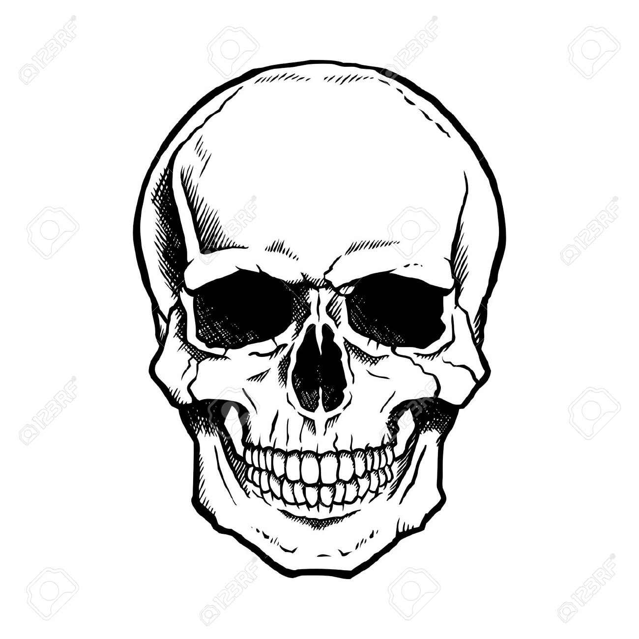 1300x1300 Vector Black And White Illustration Of Human Skull With A Lower