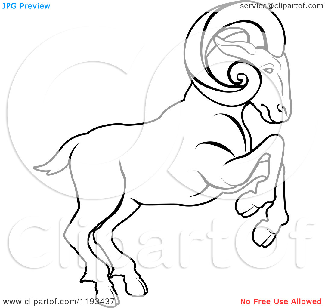 1080x1024 Clipart Of A Black And White Line Drawing Of The Aries Ram Zodiac