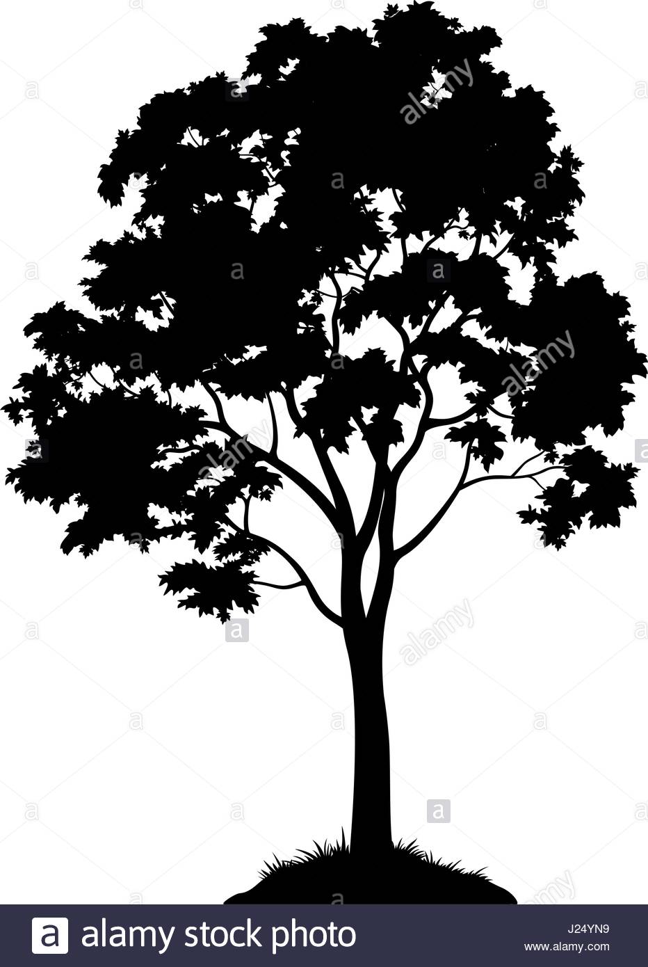 932x1390 Maple Tree Silhouette Stock Vector Art Amp Illustration, Vector