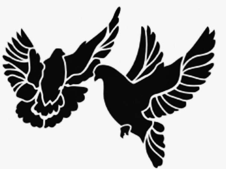 750x562 Pin By Baylie Smith On Stencil Window Film