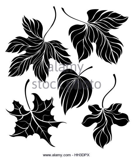 454x540 Set Hand Drawn Black Silhouettes Stock Photos Amp Set Hand Drawn