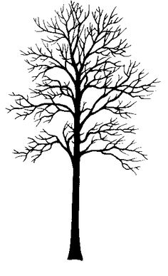236x387 Collection Of Trees Silhouettes