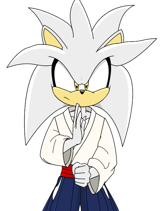 527x680 Silver The Aikido Hedgehog By Volksgtifox