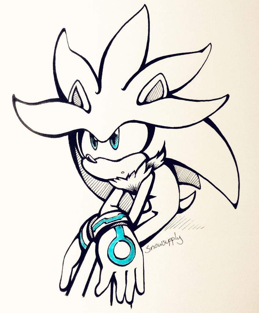847x1024 Blue Eyes White Hedgehog Sonic The Hedgehog! Amino