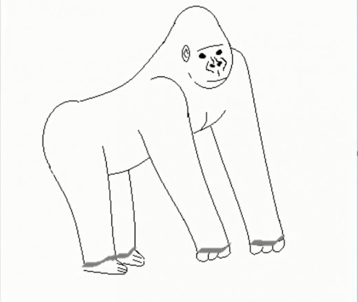 520x439 How To Draw A Gorilla Hubpages